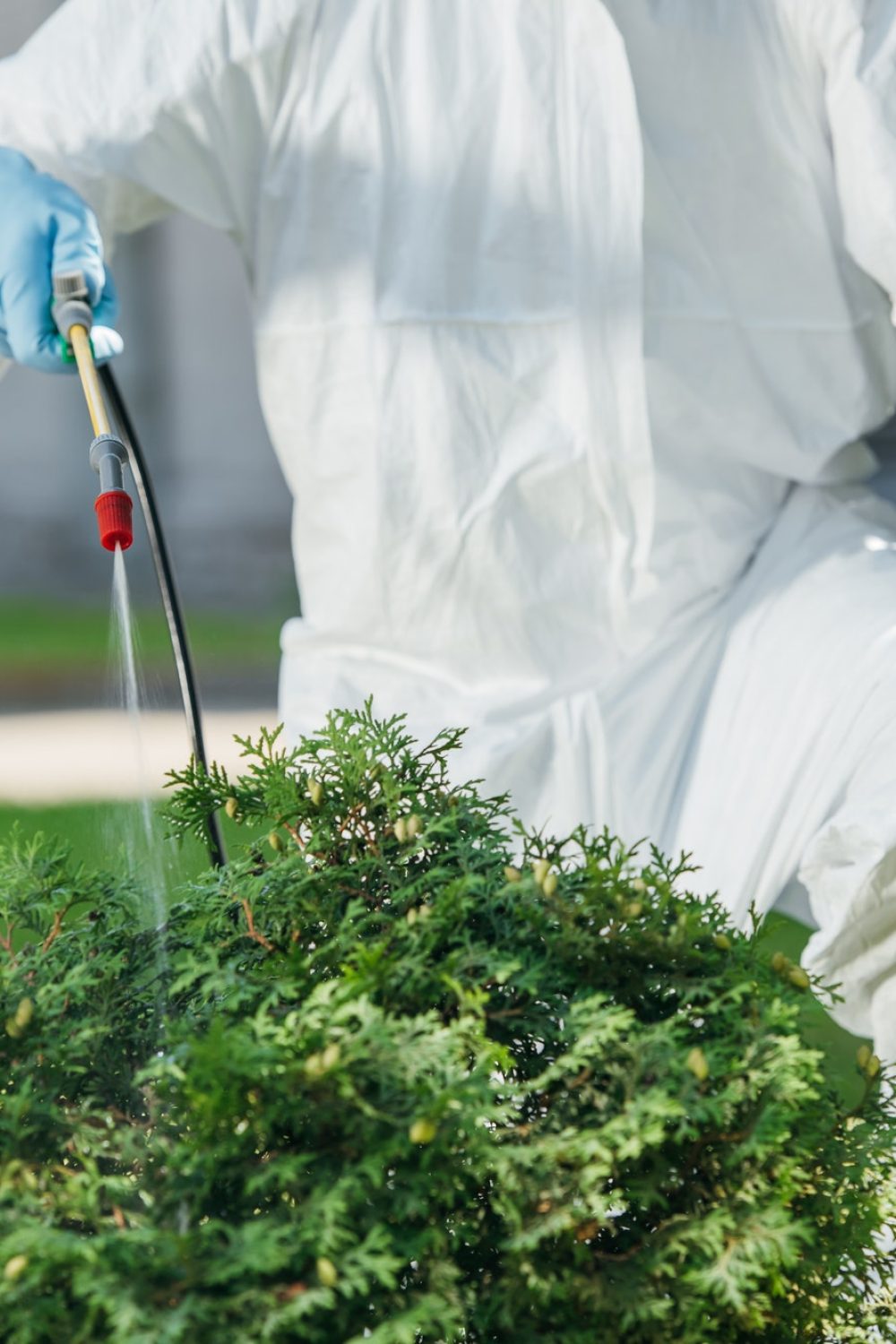 cropped-image-of-pest-control-worker-in-uniform-spraying-chemicals-on-bush.jpg